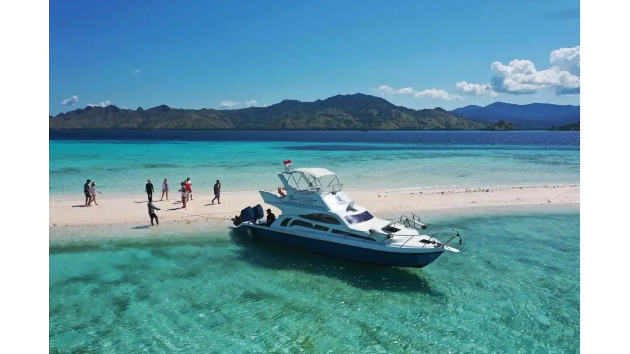 1 Day Trip Komodo Adventure with Sailing Labuan Bajo